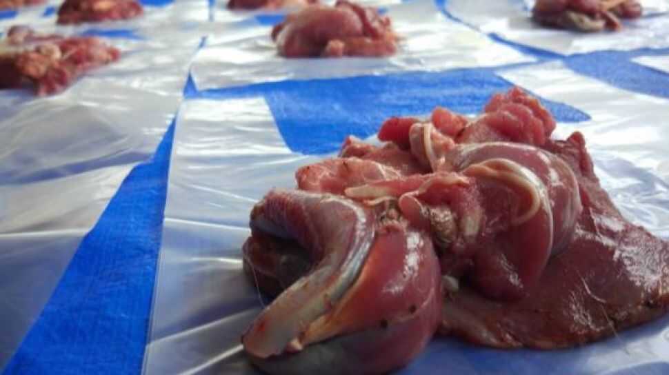 Cara Mengolah Daging Kurban Agar Empuk dan Tidak Bau
