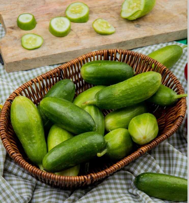 Manfaat Mentimun untuk Kesehatan Tubuh dan Kulit