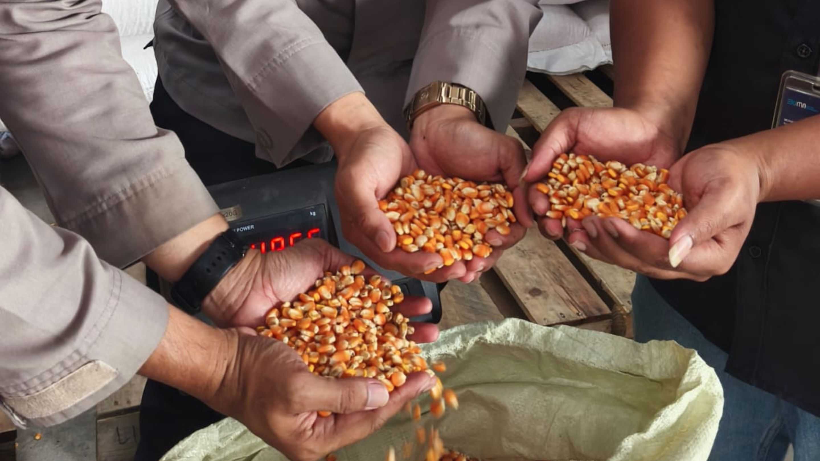 Serap Hasil Panen, Polres Garut Masukkan 15,25 Ton Jagung ke Bulog